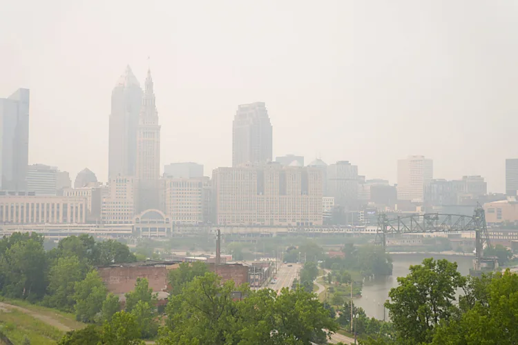 Wildfire smoke attacks every system in the body